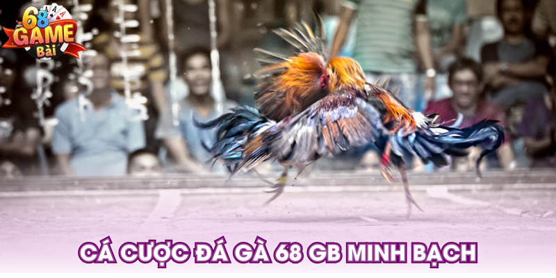 Cá cược đá gà 68 GB minh bạch
