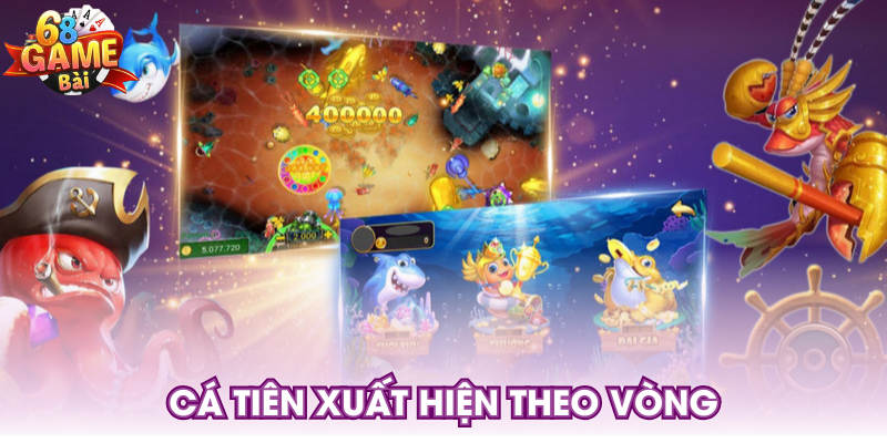 Cá tiên xuất hiện theo vòng