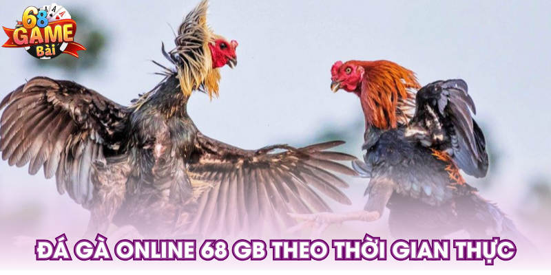 Đá gà online 68 GB theo thời gian thực