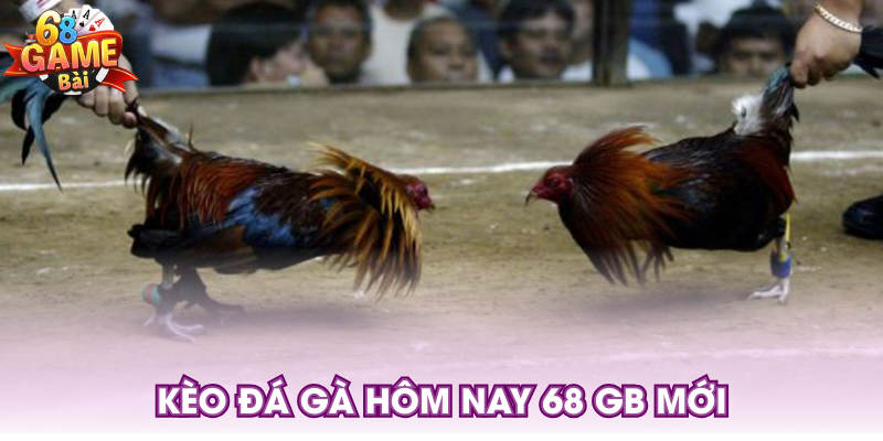 Kèo đá gà hôm nay 68 GB mới
