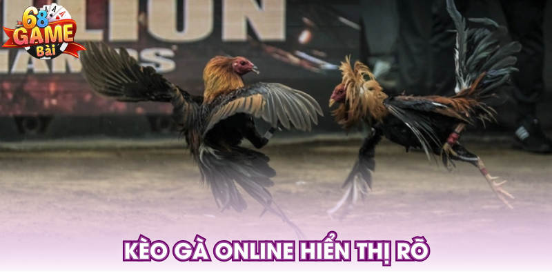 Kèo gà online hiển thị rõ
