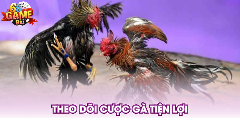 Theo dõi cược gà tiện lợi