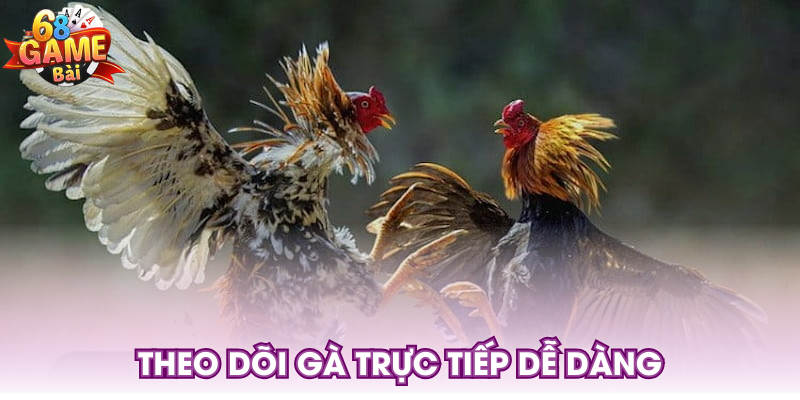 Theo dõi gà trực tiếp dễ dàng
