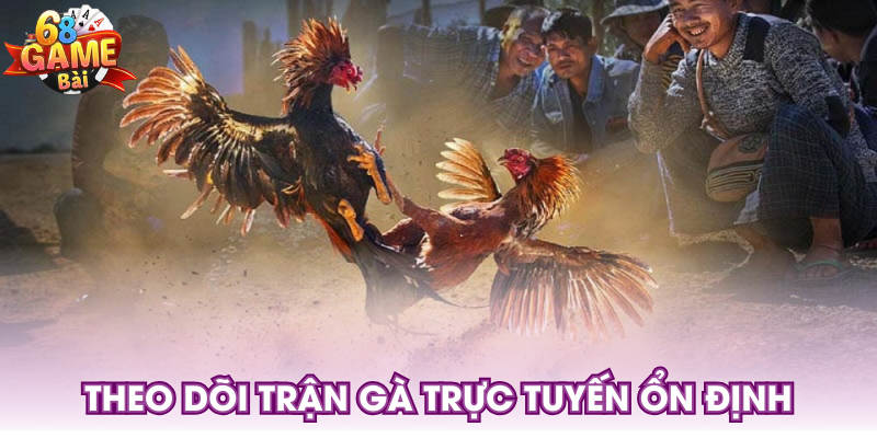Theo dõi trận gà trực tuyến ổn định