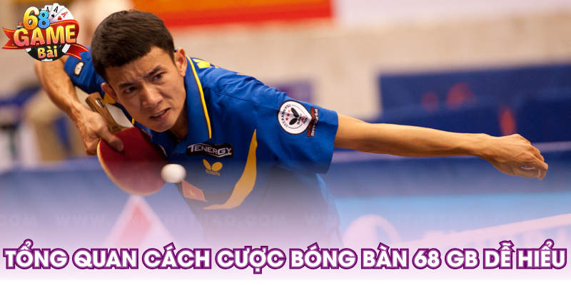 Tổng quan cách cược bóng bàn 68 GB dễ hiểu