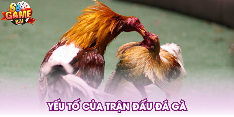Yếu tố của trận đấu đá gà